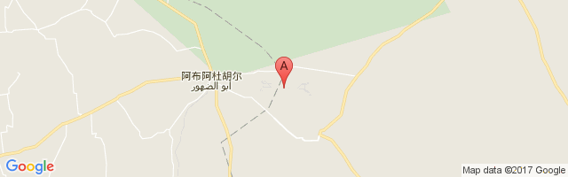 Abu ad Duhur Air Base Airport图片