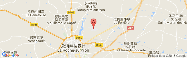 La Roche-sur-Yon Airport图片