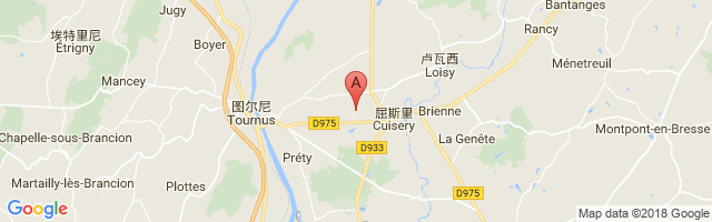 Tournus Cuisery Airport图片