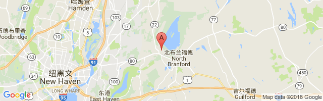 North Branford Airport图片