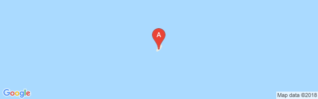 Bird Island Airport图片
