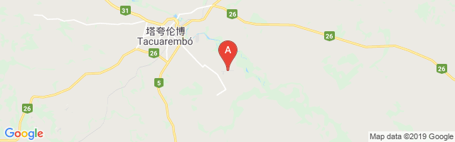 Tacuarembo Airport图片