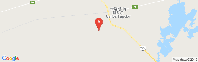 Carlos Tejedor Airport图片