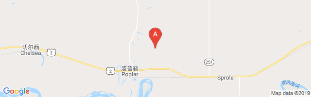Poplar Muni Airport图片