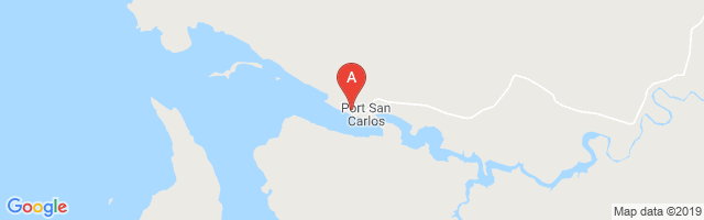 Port San Carlos Landing Strip Airport图片