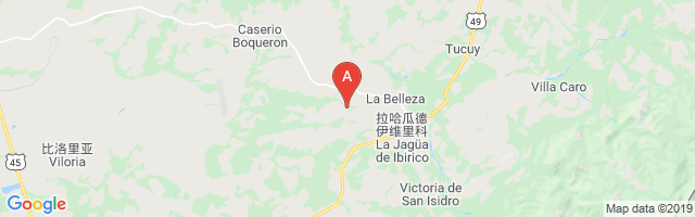 Nueva Granada Airport图片