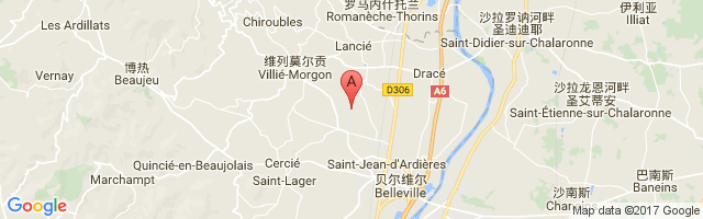 Belleville Villié Morgon Airport图片