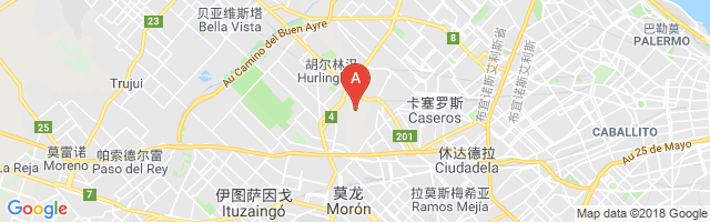 El Palomar Airport图片