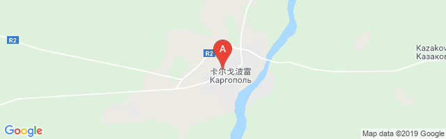 Kargopol Airport图片
