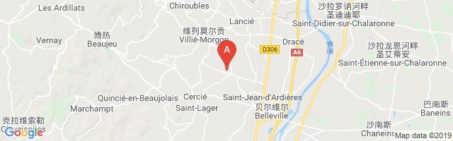 Château De Pézay Airport图片