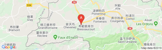 Bressaucourt Airport图片