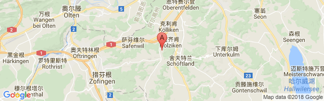 Holziken Airport图片
