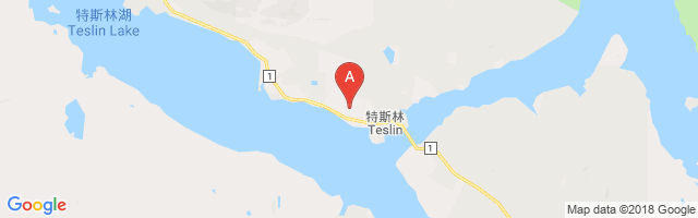 茨林机场 Teslin Airport图片
