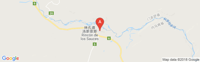 Rincon De Los Sauces Airport图片
