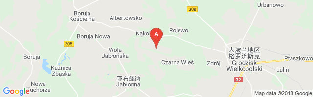 Kakolewo Air Base Airport图片