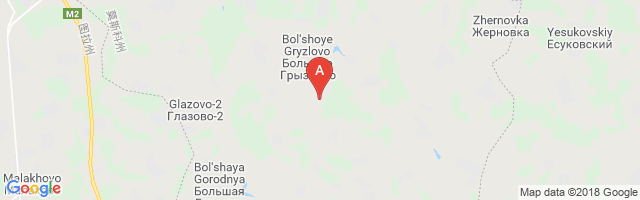 Bolshoye Gryzlovo Airfield Airport图片