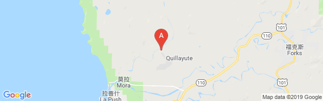 Quillayute State Airport图片