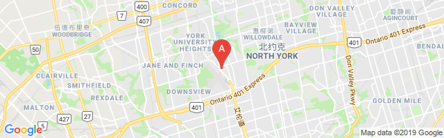Toronto Aerodrome Airport图片