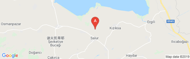 Balıkesir Manyas Airfield Airport图片
