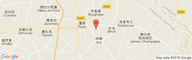 Pons Avy Airport图片