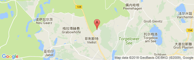 Waren-Vielist Airport图片