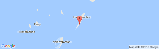 Hanimaadhoo Airport图片
