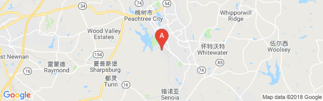 Peachtree City Falcon Field Airport图片