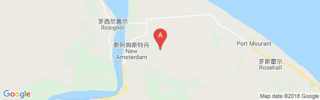 New Amsterdam Airport图片