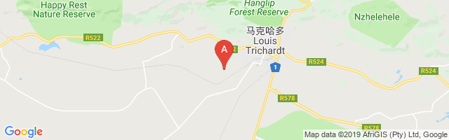 Louis Trichardt Airport图片