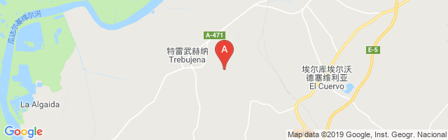 Trebujena Airfield Airport图片