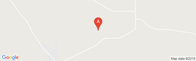 R & J Livestock County Airport图片