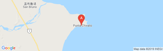 Punta Chivato Airport图片