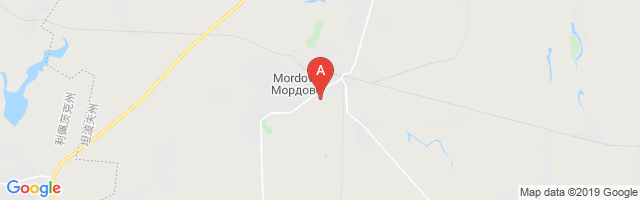 Mordovo Airport图片