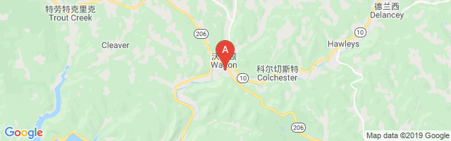 Delaware Valley Hospital Airport图片