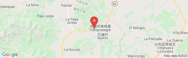 Campo Alegre Airport图片