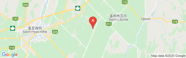 St-Dominique Airport图片
