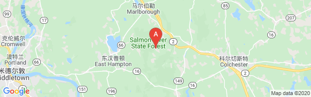Salmon River Airfield Airport图片