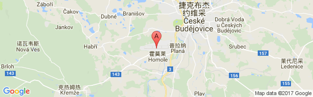 České Budějovice Airport图片