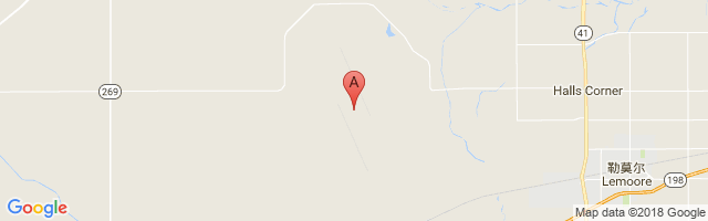 Lemoore Naval Air Station (Reeves Field) Airport图片