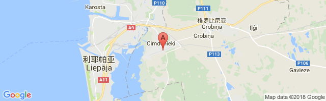 Liepāja International Airport图片