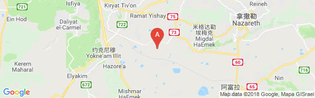 Ramat David Air Base Airport图片
