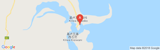 Kilwa Masoko Airport图片