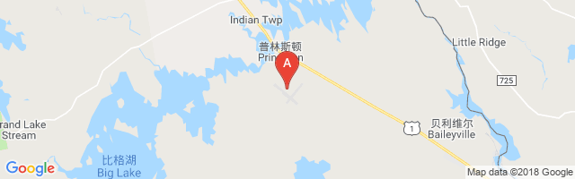 Princeton Airport图片
