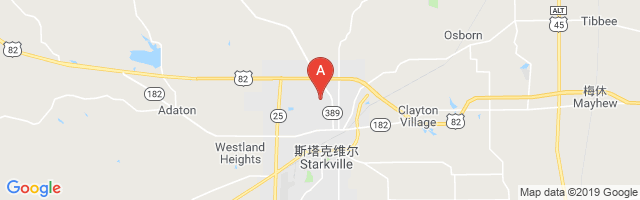 Oktibbeha County Hospital Airport图片
