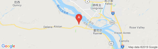 Rainier Airport图片