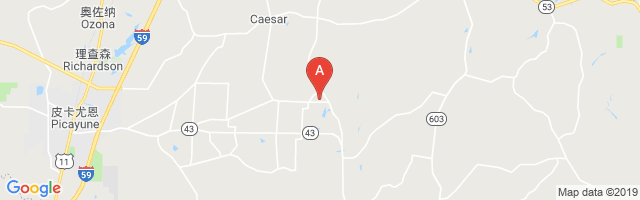 Lee's Field Airport图片