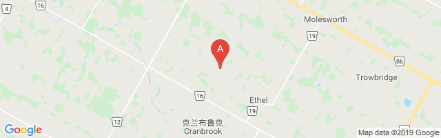 Ethel Airport图片