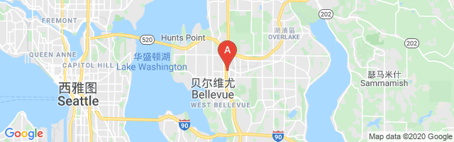 Overlake Hospital EMS Airport图片