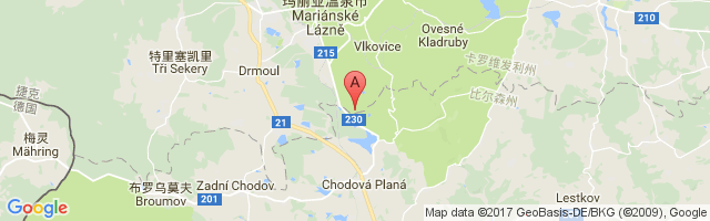 Mariánské Lázně Airport图片