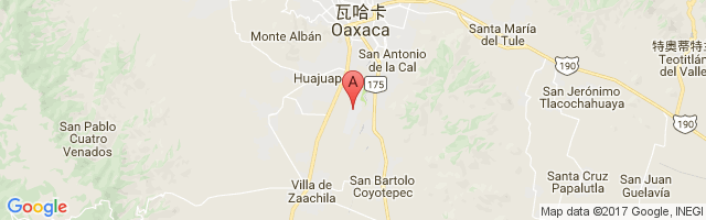 Xoxocotlán International Airport图片